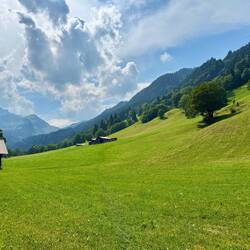 endlich trete ich aus dem Wald und der Blick öffnet sich