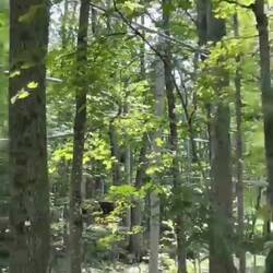 On dirait que celui qui s'éclate vraiment, c'est ... Ludo...😬😉😅