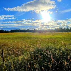 Abendspaziergang Stimmung nach dem Regen