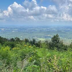 From the Parkway, looking back east toward Richmond