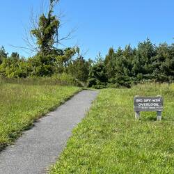 Do not go here. There's snakes!