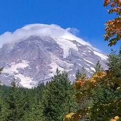 Am nächsten Tag: Mt. Rainier mit Wolken-Kappe