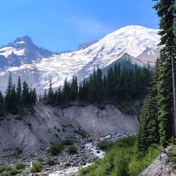 Über diese Brücke müssen wir gehn...