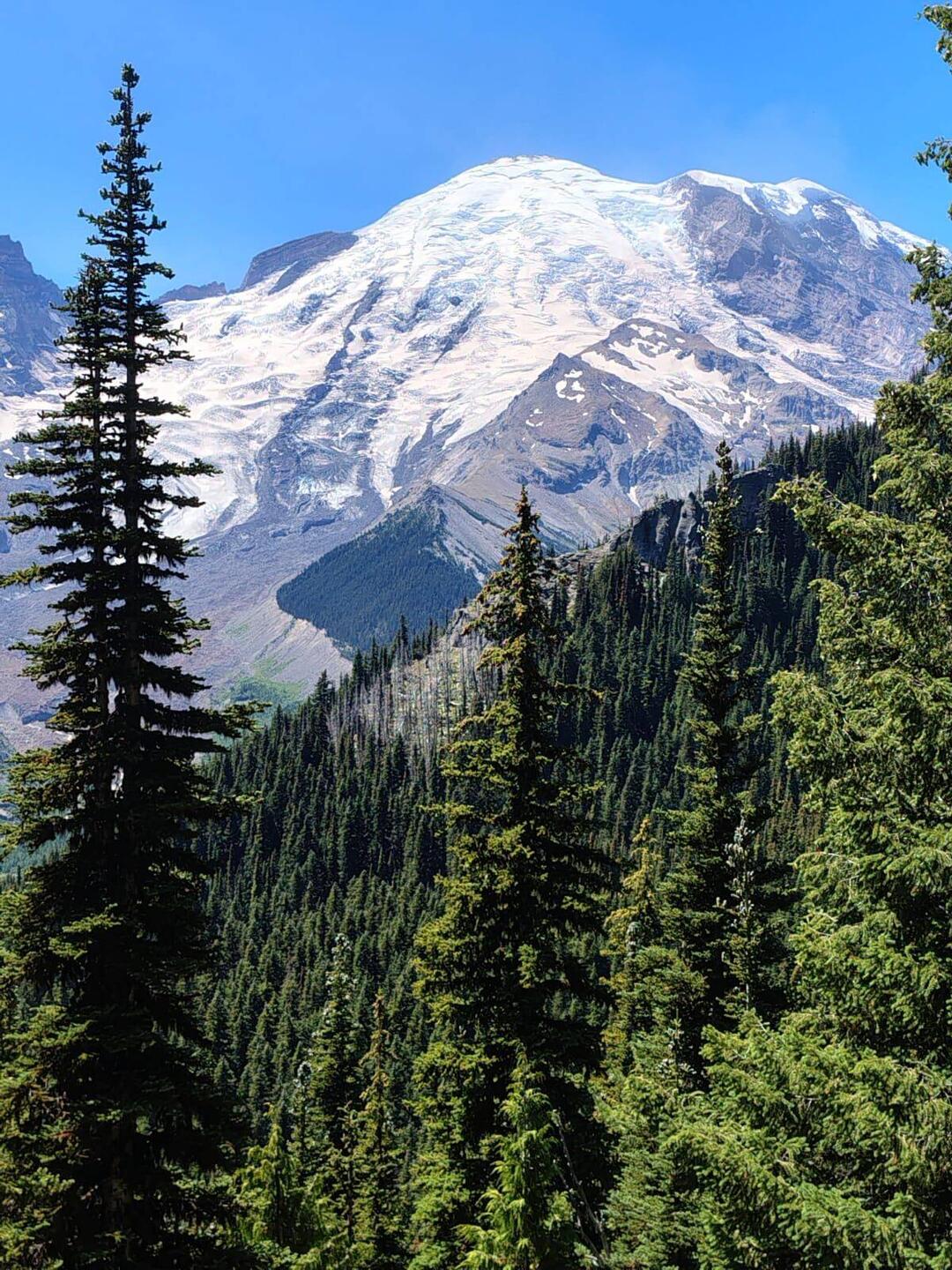 Der schöne Mount Rainier ...