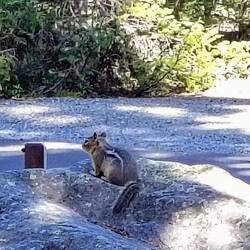 Zurück am Platz - ein kleiner Gast