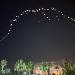 Vol des flamants roses