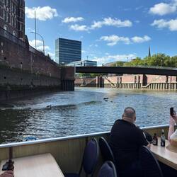 Niedriger Wasserstand