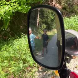 Fleurop à la Planwagen... oder Blumenpflücken während der Fahrt erlaubt