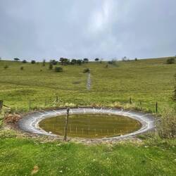 Any idea what this could be?