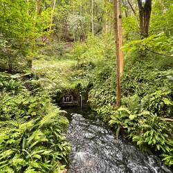 To swim or not to swim??? 🤔