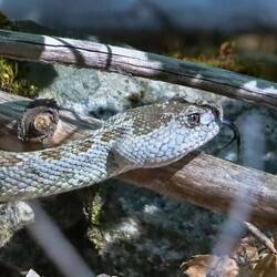 Aber cool sieht sie schon irgendwie aus. 😊