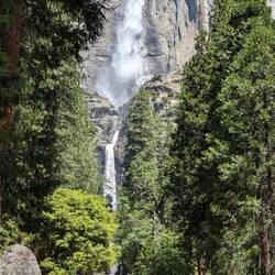 Lower Yosemite Falls