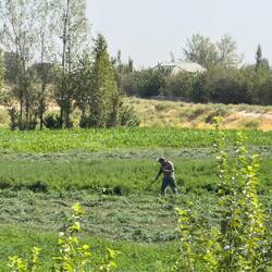 Schwere körperliche Arbeit in der Landwirtschaft