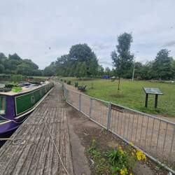 The railings didn't keep the dogs away from the benches and dropped swan food for long