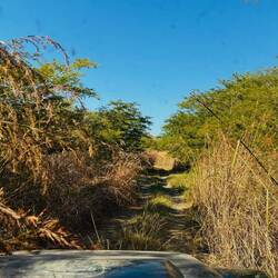 auf etwas mehr als 120km durch Botswana...