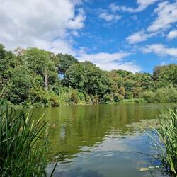 Beautiful lake alongside the towpath