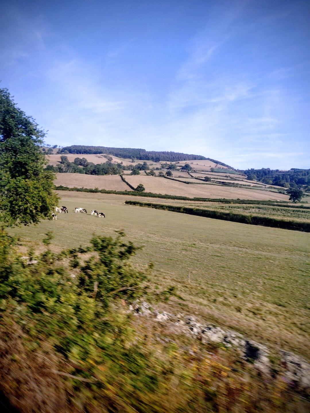 Grasland bereits in Wales