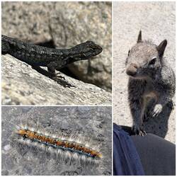 Tierische Begegnungen des Tages