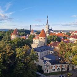Ein Träumchen von oben