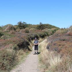 abwechlungsreiche Vegetation und Wege