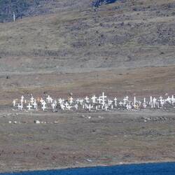 Cemetery