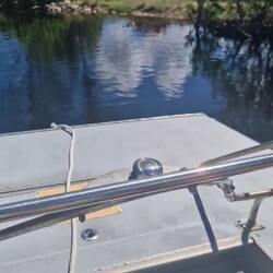 Männlicher Alligator