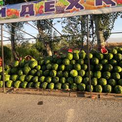in allen Ländern: haufenweise Melonen