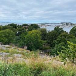Blick vom Ullanlinnanmäki zum Schiff
