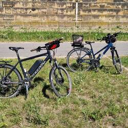 Unser Fuhrpark für Stadterkundungen