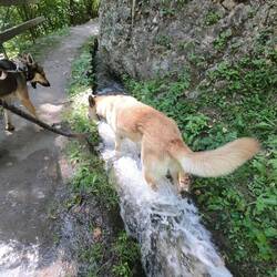 Luna ist schokiert in welche wilden Gewässer Leli vordringt. 🤭