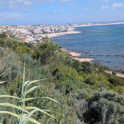 Blick vom Cabo Mondego