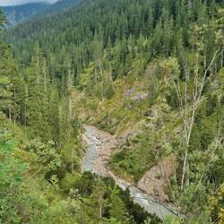 Schwarzwassertal mit viel Wald und Wildbach