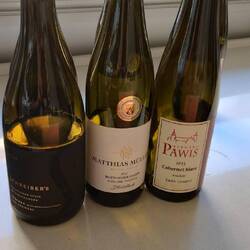 Vorspeisenweine,u a. mein erster Wein aus Ostdeutschland