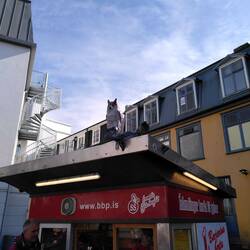 Die offiziell besten Hot Dogs der Stadt