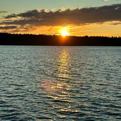 Gute Nacht euch allen!