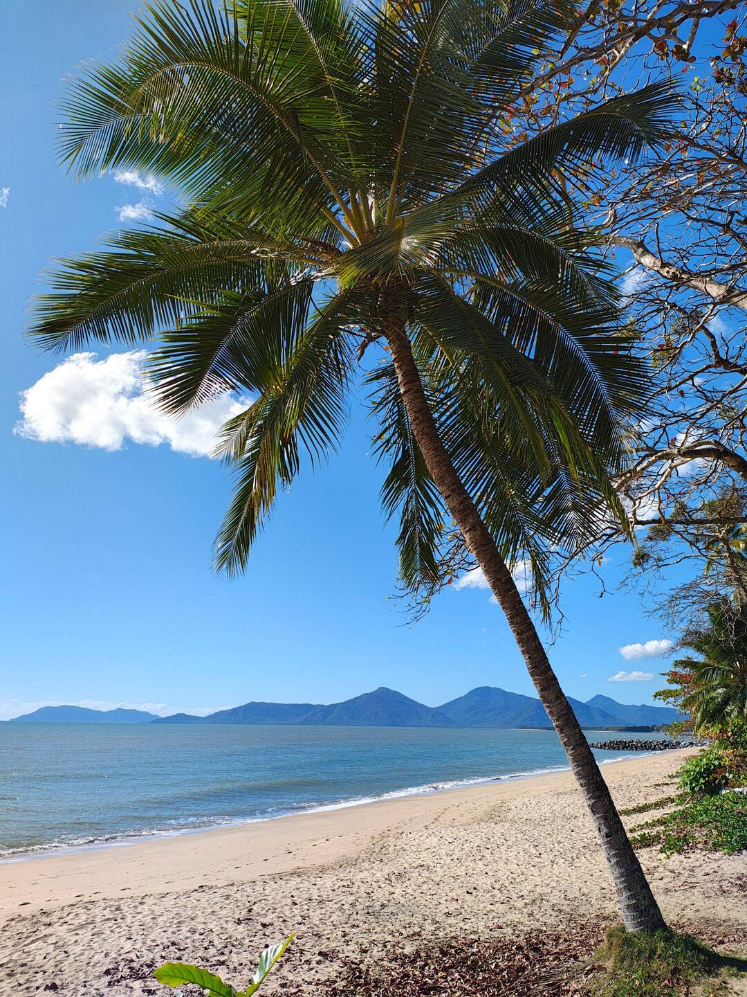 My beach this morning 28o!