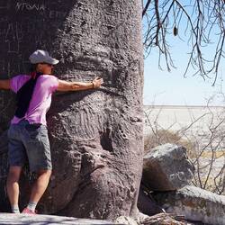 Wieviele tausend Jahre hat dieser Baum wohl schon erlebt?