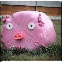 Wenn man umgeleitet wird... Sieht man so was 😜