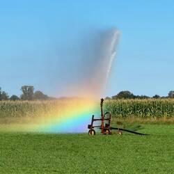 Fasziniert vom Regenbogen