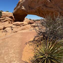 Mesa Arch