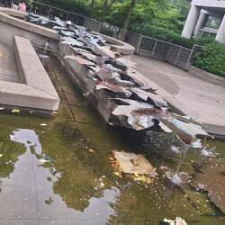 Maple Leaf Fountain