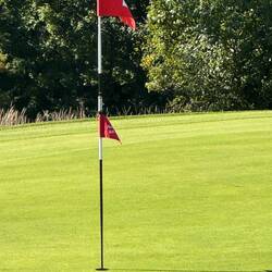 BIRDIE !!!