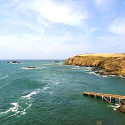 Lizard Point