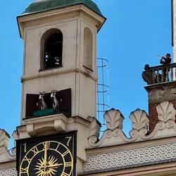 Die berühmten Ziegenböcke von Poznan