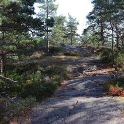 Pfad durch den Wald über Schären