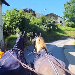 Den Berg rauf muss es auch mal flotter gehen...