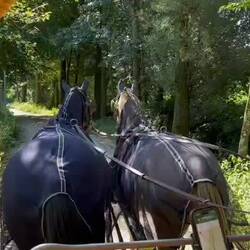 Am Ende dieses Weges erwartet uns Arbeit