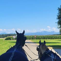 Wir können jetzt die Alpen sehen.
