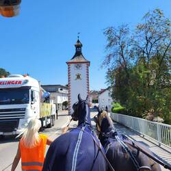 Moralische Unterstützung für Bentley