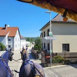 Uppsala, Verfahren.... Wimberg ist doch bei uns zuhause...